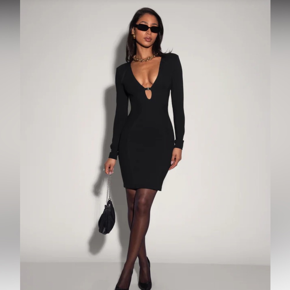 NWT TA3 Plungey Long Sleeve Mini Dress - size Large - sold out!